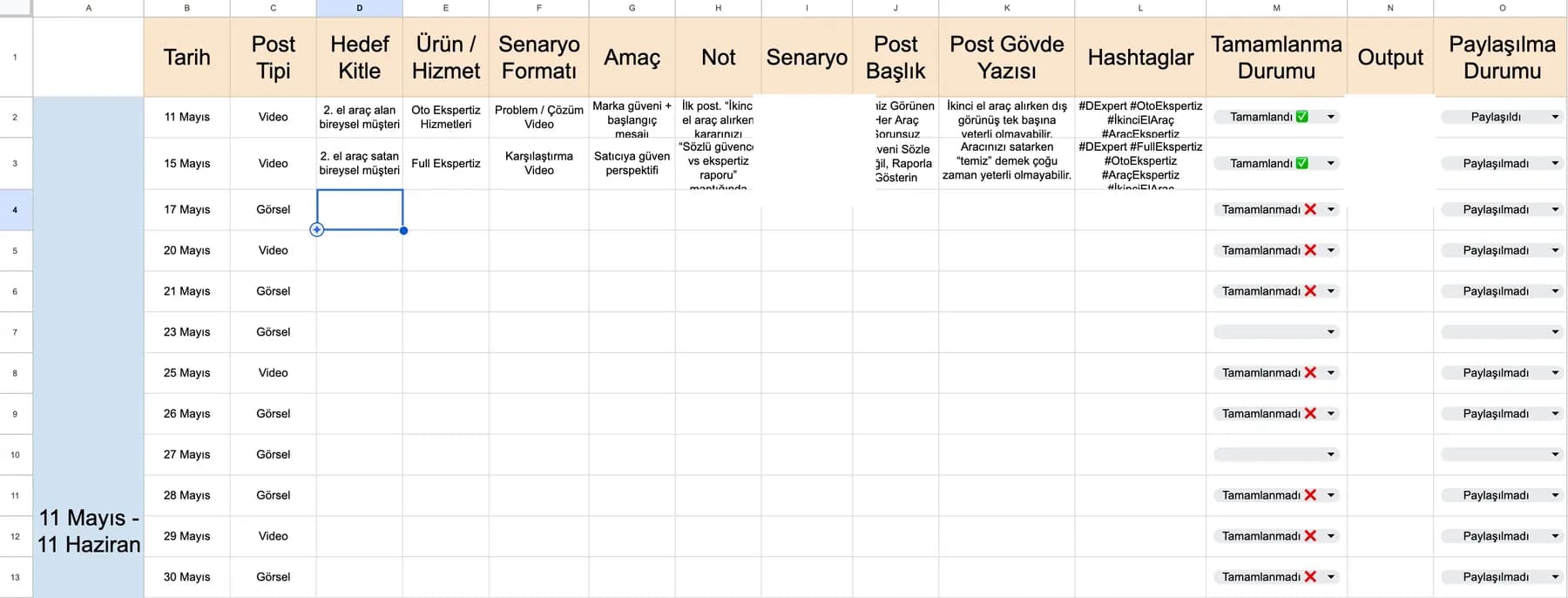 D Expert monthly content calendar with formats, audiences, copy, production and publishing status